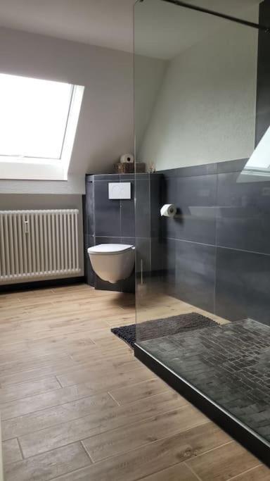 Apartment Schwarzwaldmaedel Friedenweiler Luaran gambar