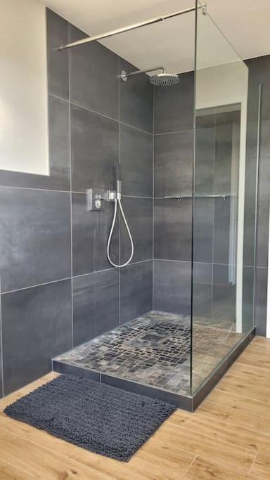 Apartment Schwarzwaldmaedel Friedenweiler Luaran gambar
